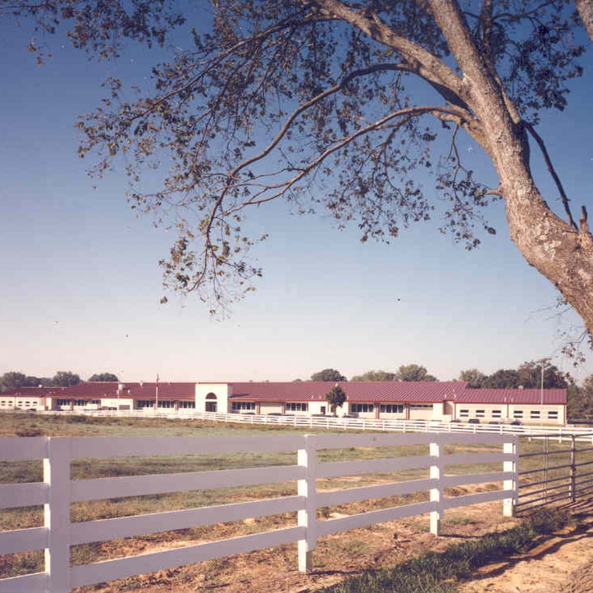 Jim Stone Elementary School 2