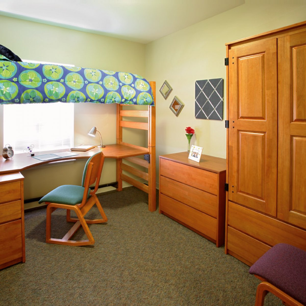 UA Northwest Quadrant Housing 5